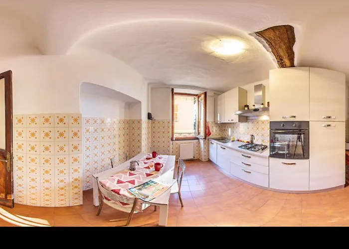 Nina - Λεβάντο